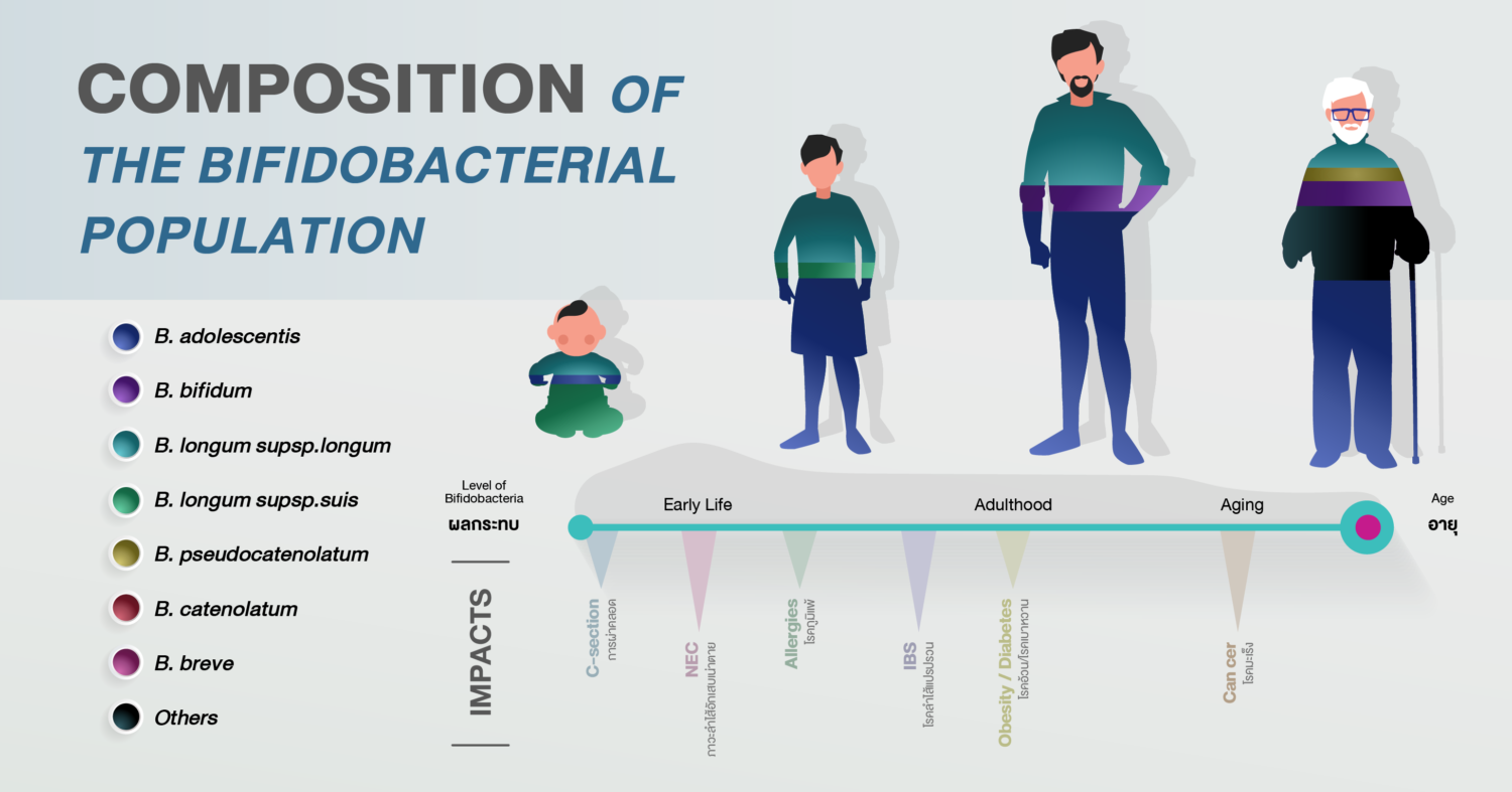 ปริมาณของโปรไบโอติกส์บิฟิโดแบคทีเรียมที่แตกต่างกันในแต่ละช่วงวัยและโรคที่เกิดขึ้น